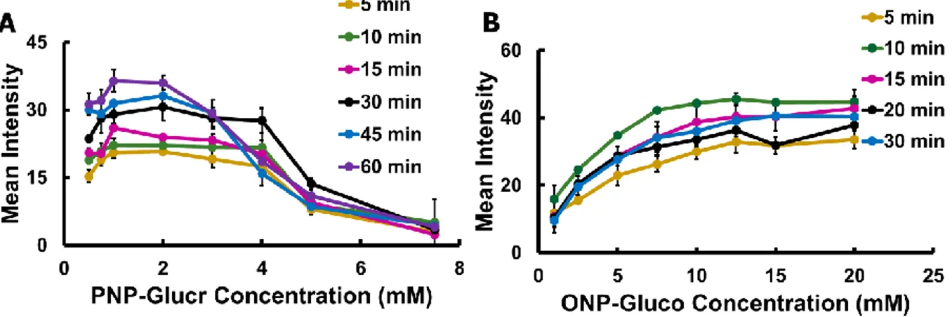 Figure 2.8 │ Measured average grey intensity results of enzymatically formed product  (A) PNP and (B) ONP from varying concentrations of substrate PNP-Glucr and  ONP-Gluco respectively