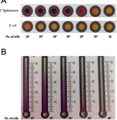 Figure 2.13 │ Assay detection limit and specificity using the optimized incubation times  and demonstrated on two different PADs: (A) well-array devices and (B) chemometers