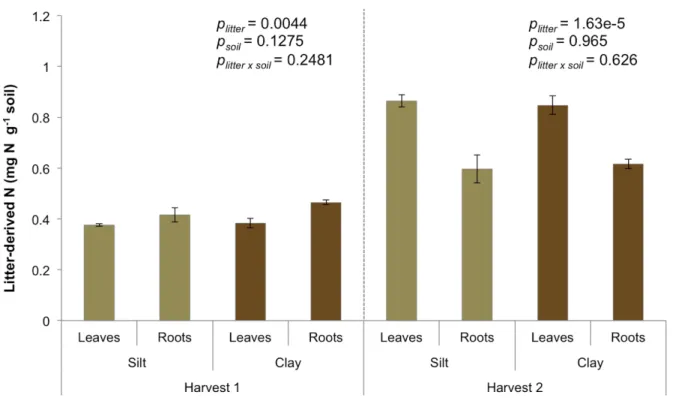 Figure 2.4. Effect of soil fraction and litter type on litter-derived N in SOM at each harvest