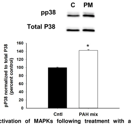 Figure 4-9. Cxcl1 released in response to the LMW PAH binary mixture.  Cxcl1  was  evaluated  via  ELISA  in  media  from  PCLS  following  8  h  of  treatment  with  the  binary PAH exposure (60 M) Mean ± SE presented with n = 3 per study, replicated  th
