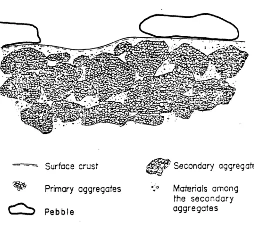 Fig. 7. Soil Structure of the Desert Pavement (after Chepil and Woodruff, 1963)