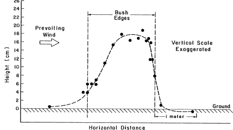 Fig. 8. Profile of the Test Bush Hummock