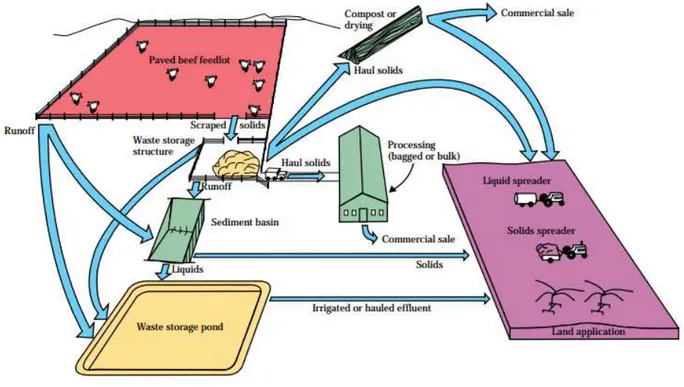 Figure 3 - Feedlot Handling Options (“Agricultural Waste Management Systems Part 651 Agricultural Waste Management  Field Handbook Chapter 9 Agricultural Waste Management Systems,” 2011)