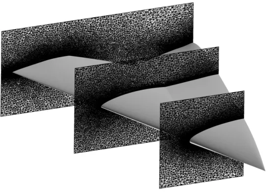 Figure 3.2: Visualization of the Muld 1 (a) and Muld 2 (b) meshes a different length- length-wise positions