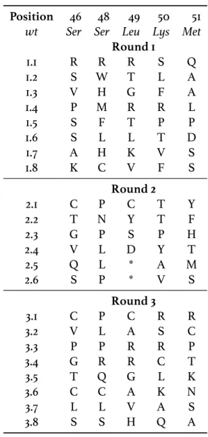 Table 2.1: Sequences of library members in ﬁrst three rounds of sorting Position 46 48 49 50 51