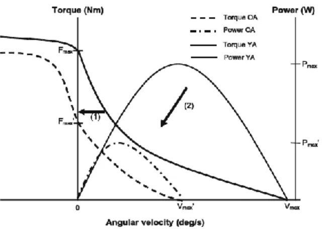 Figure 2.1: Changes in force-velocity and torque-velocity curve from Raj et al., 2010 between old (OA)  and young (YA) adults
