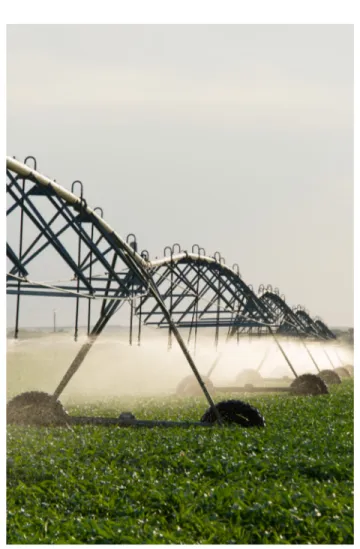 Figure 5. Nitrogen losses can be minimized through  irrigation water management that bases water  appli-cation timing and amount on crop needs.
