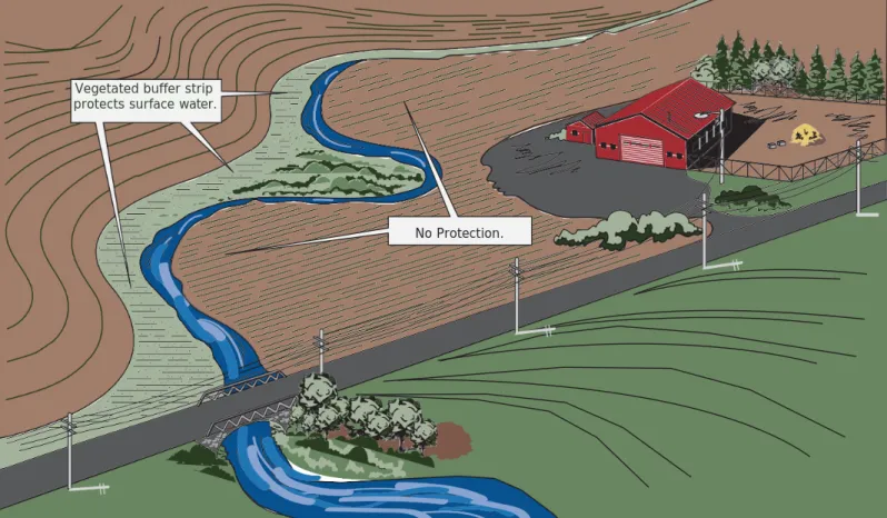 Figure 5. Pesticide application buffer zone to protect surface water 