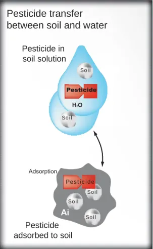 Figure 2.  Pesticides will exist in the soil water  solution, in soil air, or adsorbed onto soil particles