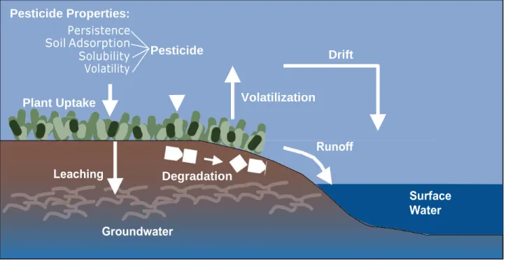 Figure 4. Factors influencing pesticide transport and its impact on water quality. 