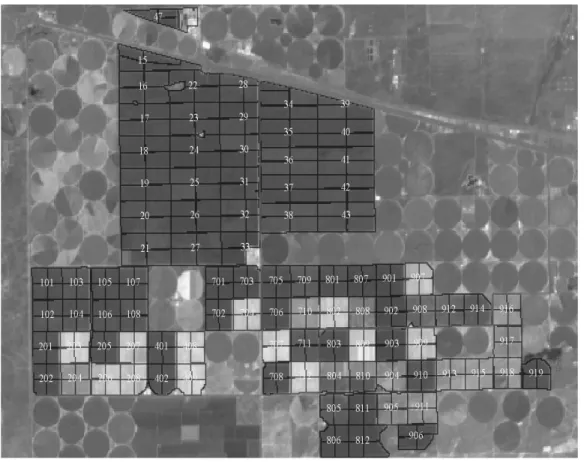 Figure 1: Satellite image of Western White Poplar Project (WWPP) showing both  the drip and pivot irrigated lands