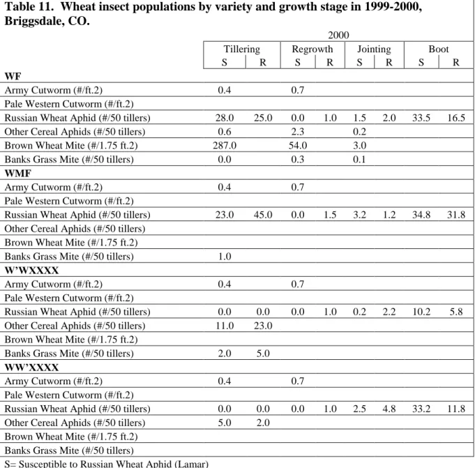 Table 11.  Wheat insect populations by variety and growth stage in 1999-2000,  Briggsdale, CO