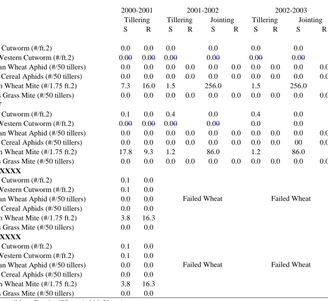 Table 12.  Wheat insect abundance by year, variety and growth stage, Briggsdale, CO  for the 2000-2001, 2001-2002, and 2002-2003 growing seasons