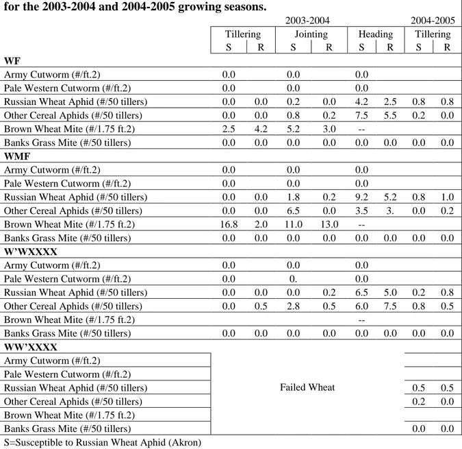Table 13.  Wheat insect abundance by year, variety and growth stage, Briggsdale, CO  for the 2003-2004 and 2004-2005 growing seasons