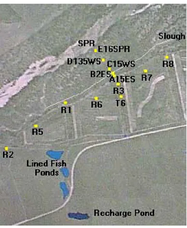 Figure 1.  Location of existing pumping wells, slough channels, and South Platte River  (SPR)