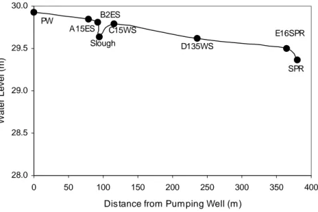 Figure 3. Transect of initial water level before stream/aquifer analysis test. 