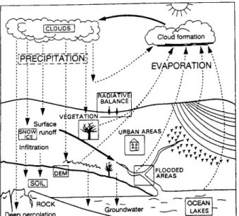 Figure 2.  The hydrological cycle. (Based on  WMO, 1994, altered by PORTMANN, 1997) 
