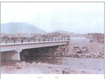 Figure 1.  View of the Dueñas Bridge in 1966.  This photograph was taken from the left  bank
