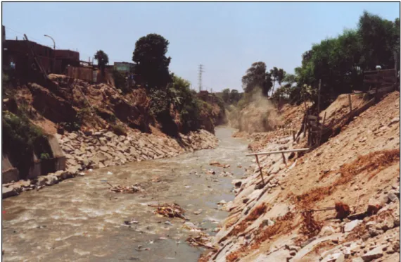 Figure 5.  This photograph shows the rock ramp downstream of the Dueñas bridge.  This  picture was taken from the right bank of the river