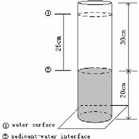 Figure 2.  The setup of modeling column. 