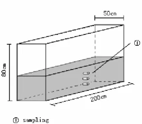 Figure 3.  The setup of experimental tank. 