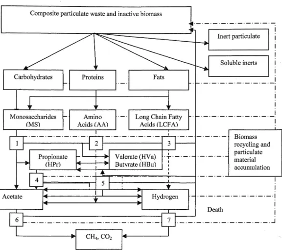 Figure 2.  The Modified Model  for  Anaerobic  Digestion as  implemented,  including  biochemical processes:  1