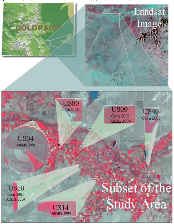 Figure 1. The location of the corn and alfalfa fields. 