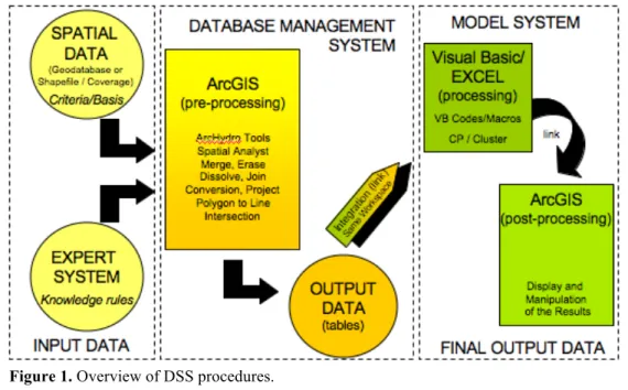 Figure 1. Overview of DSS procedures. 