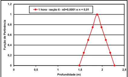 Figure 1. Membership function of the depth for time observation of 1 hour. 