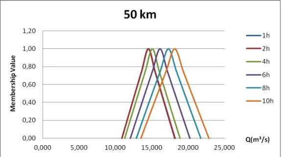 Figure 2 – Membership Functions of the flow 50 km of the origin, for different times.