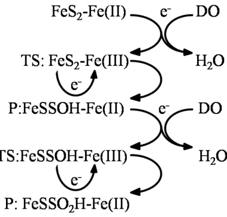 Figure 3. Dissolved Oxygen’s (DO) Reduction Results in Pyrite Oxidation by Ferric Ions