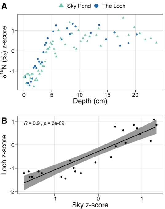 Figure 2.3. Estimated sediment age for The Loch sediments based on δ 15 N z- z-scores