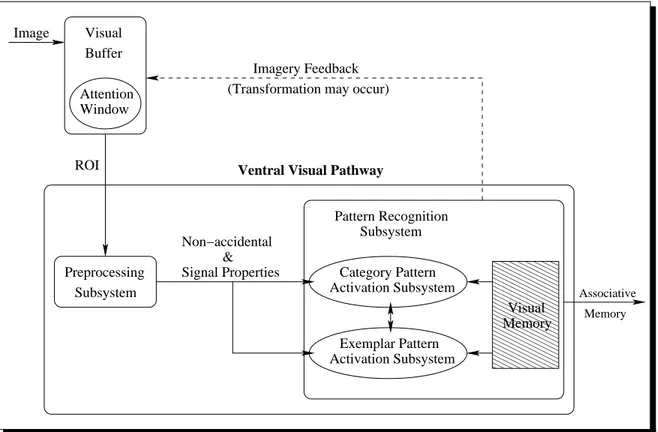 Figure 3.1: Initial processing components and ventral visual pathway of Kosslyn's model.