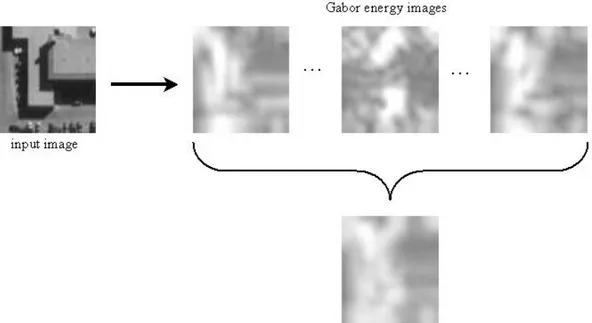 Figure 4.7: Computing average complex cell edge magnitude. The three Gabor energy images are computed using (0  ; 90  ), (45  ; 135  ), and (75  ; 165  ) phase pairs