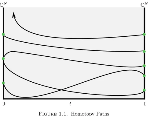 Figure 1.1. Homotopy Paths