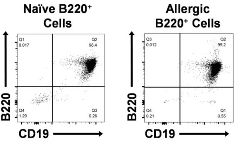 Figure 3.5. Flow cytometric analysis of B220 +  cells purified from naïve and peanut- peanut-allergic splenocytes