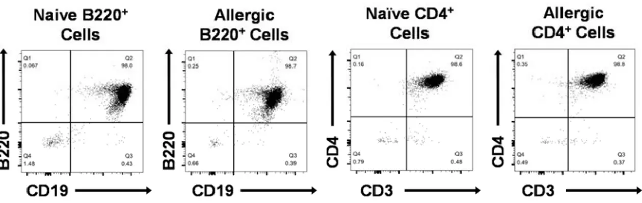 Figure 3.9. Flow cytometric analysis of B220 +  cells and CD4 +  cells purified from naïve  and peanut-allergic splenocytes