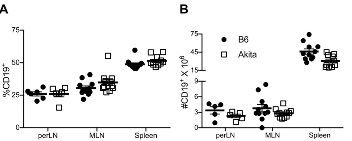 FIGURE 3-6. Normal frequency but decreased number of CD19 +  B cells in  chronic hyperglycemia