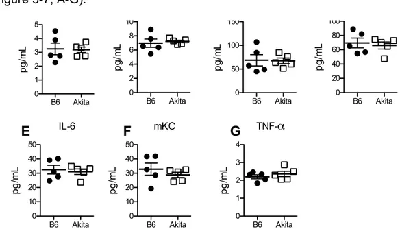 FIGURE 3-7. Normal serum pro-inflammatory cytokines in Akita mice. A-G: 