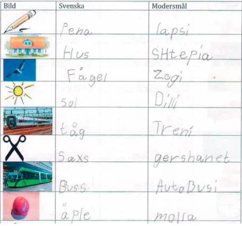 Figur 5. Delar av ordtestet skrivet på svenska och albanska av en pojke i  årskurs 2 med albanska som modersmål