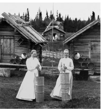 Fig. 2. Butöser på Svedjebo- Svedjebo-darna i Oviksfjällen i  Jämt-land. Foto: Nils Thomasson  ca 1905.