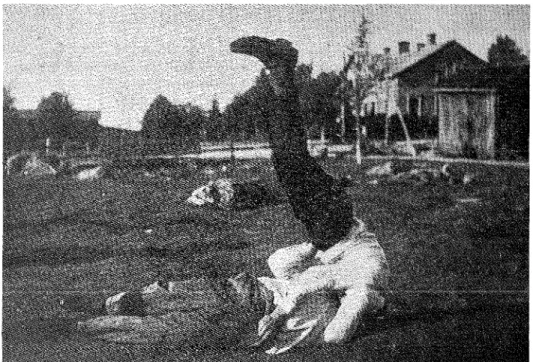 Fig.  3.  Lappkast.  Foto efter StejskaI1954. 