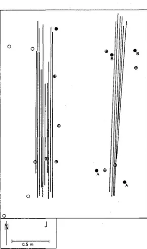 Fig.  3.  Utgrävningsplan  med  stolpar  och  liggande  granvirke.  Svart  =  al,  cirkelkors  =  gran,  cirkel  =   obe-stämd