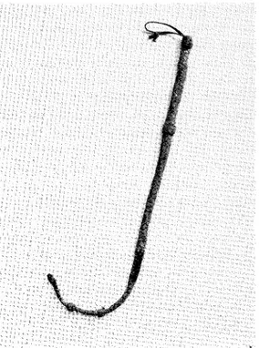 Fig.  1.  Karbas  av  tjurpenis,  den  ena  av  två  som  Artur  Hazelius fick  som gåva av Leksands  fcirsamling  till   Nor-diska museet  1876