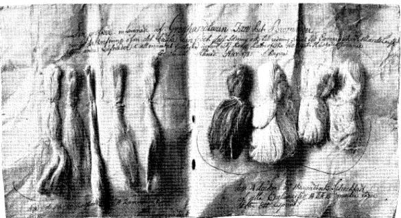 Fig.  1.  Strax fåre disputationen dök detta dokument upp: ett grovt papper med linprover från linodlingarna i Vadstena  1785