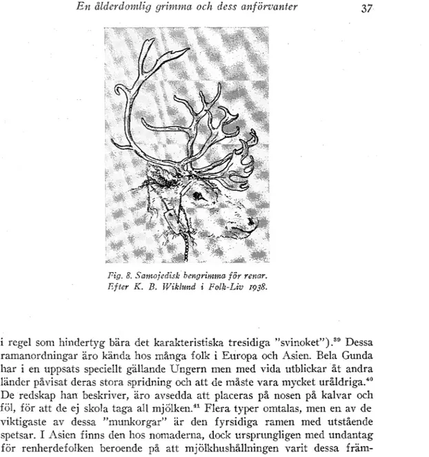 Fig.  8.  Samojedisk  bengrimma tör renar. 