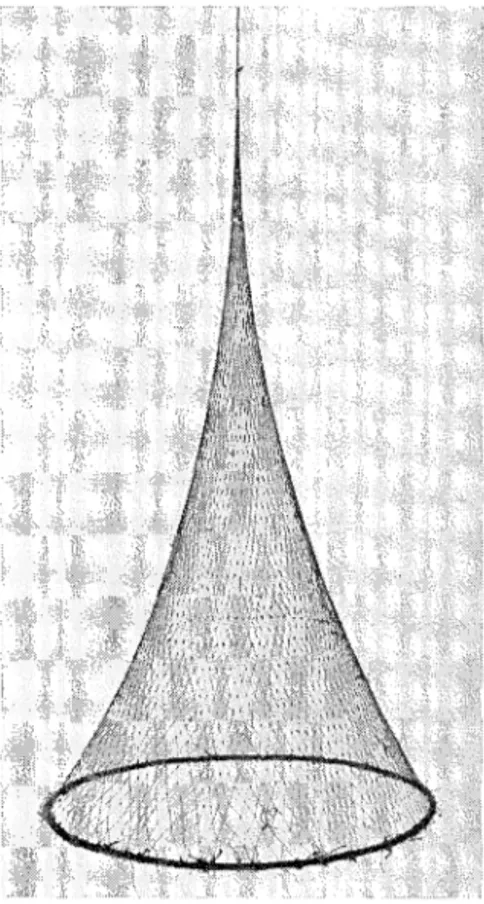 Fig.  2.  Tratt  från  Frösthult,  Yxnerums  socken,  invid  sjön  Såken,  Östergötland