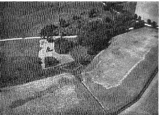 Fig.  3.  Flygbild  av  Svinnegarnskällans  omgivningar  från  1101'1'  (jfr  planen,  fig
