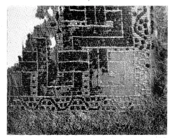 Fig.  10.  Täcke,  flossa,  fragment.  Gravfynd,  Egypten  300-600  e.  Kr.  Röhsska  Komt- Komt-slöjdsmuseet,  Göteborg;  inv.-n:r  619-14