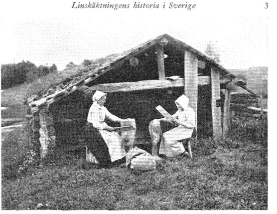Fig.  1.  Linet  skäktas.  LeksaJzds  socken,  Dalarna.  Foto  G.  H mr/in,  Nordiska  museet